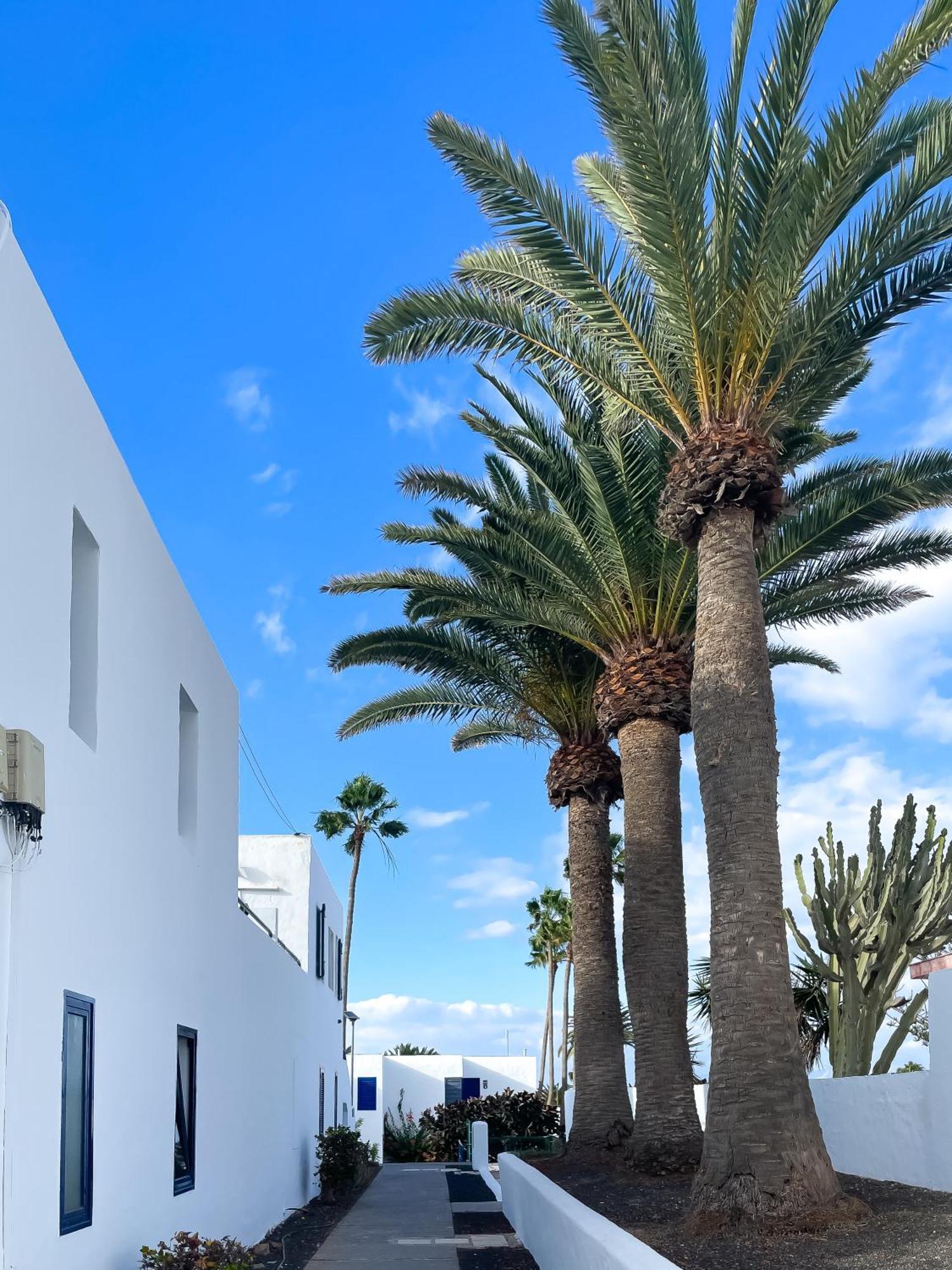 Barqueros Beach By Best Holidays Fuerteventura Corralejo Kültér fotó